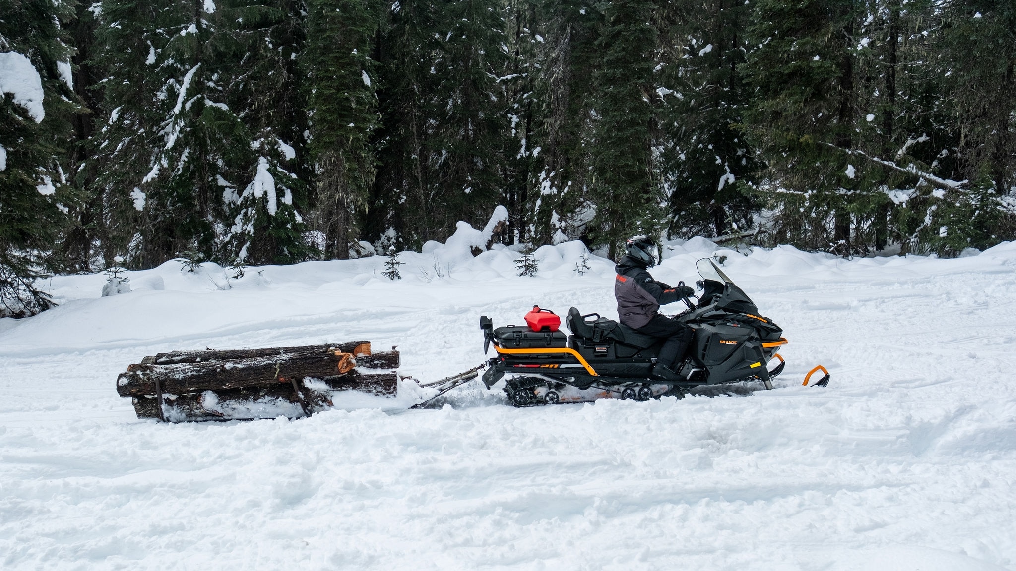 2027 Ski-Doo Scandic LE -moottorikelkka vetämässä puukuormaa reessä