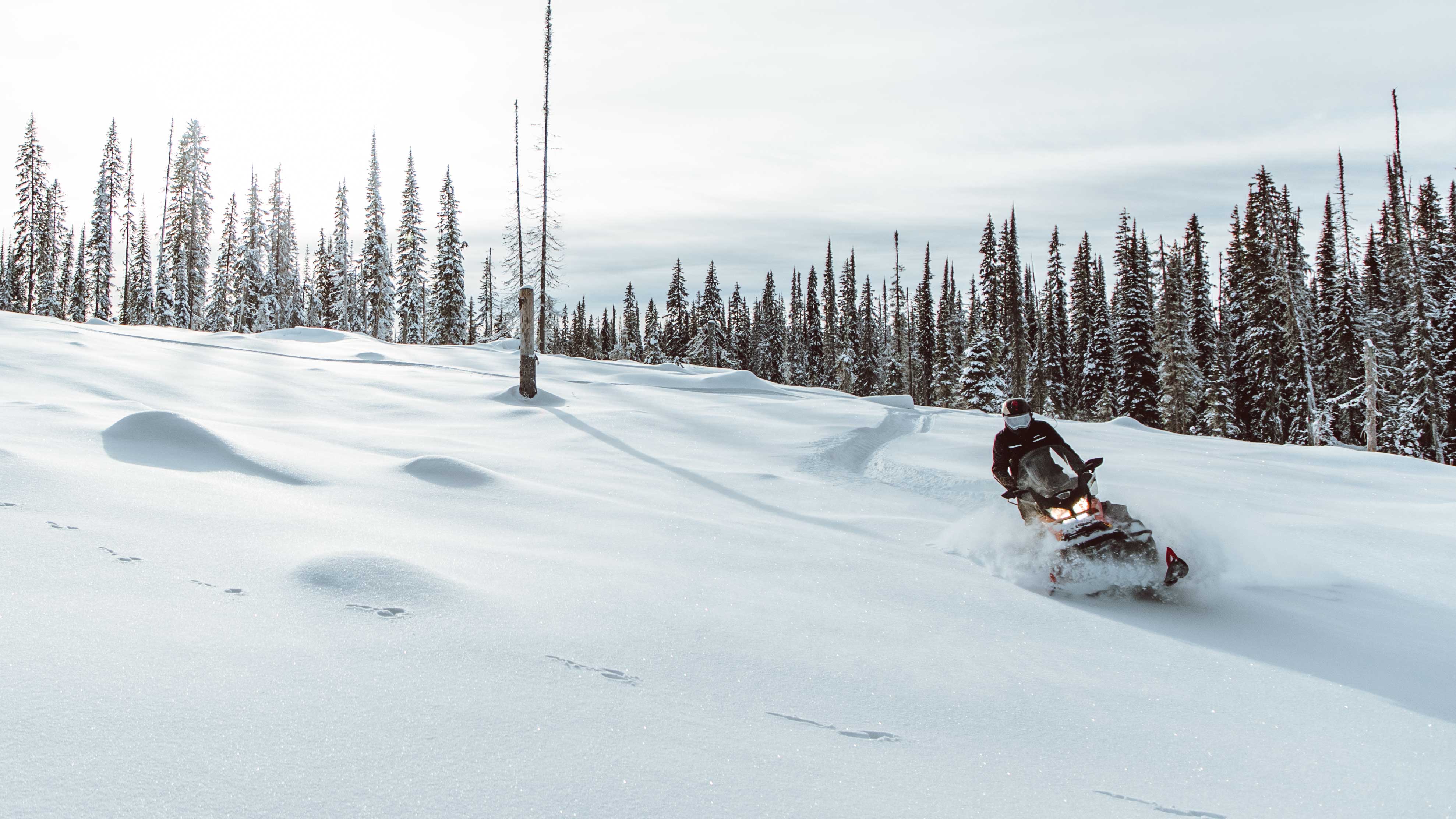 Man enjoying Deep-Snow with a Ski-Doo Skandic