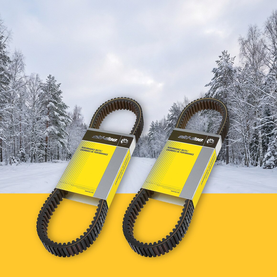 Ski-doo Drive Belts