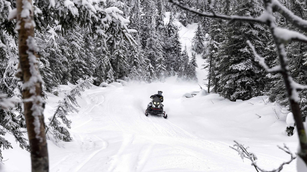 Man riding a Ski-Doo Renegade X-RS in trail