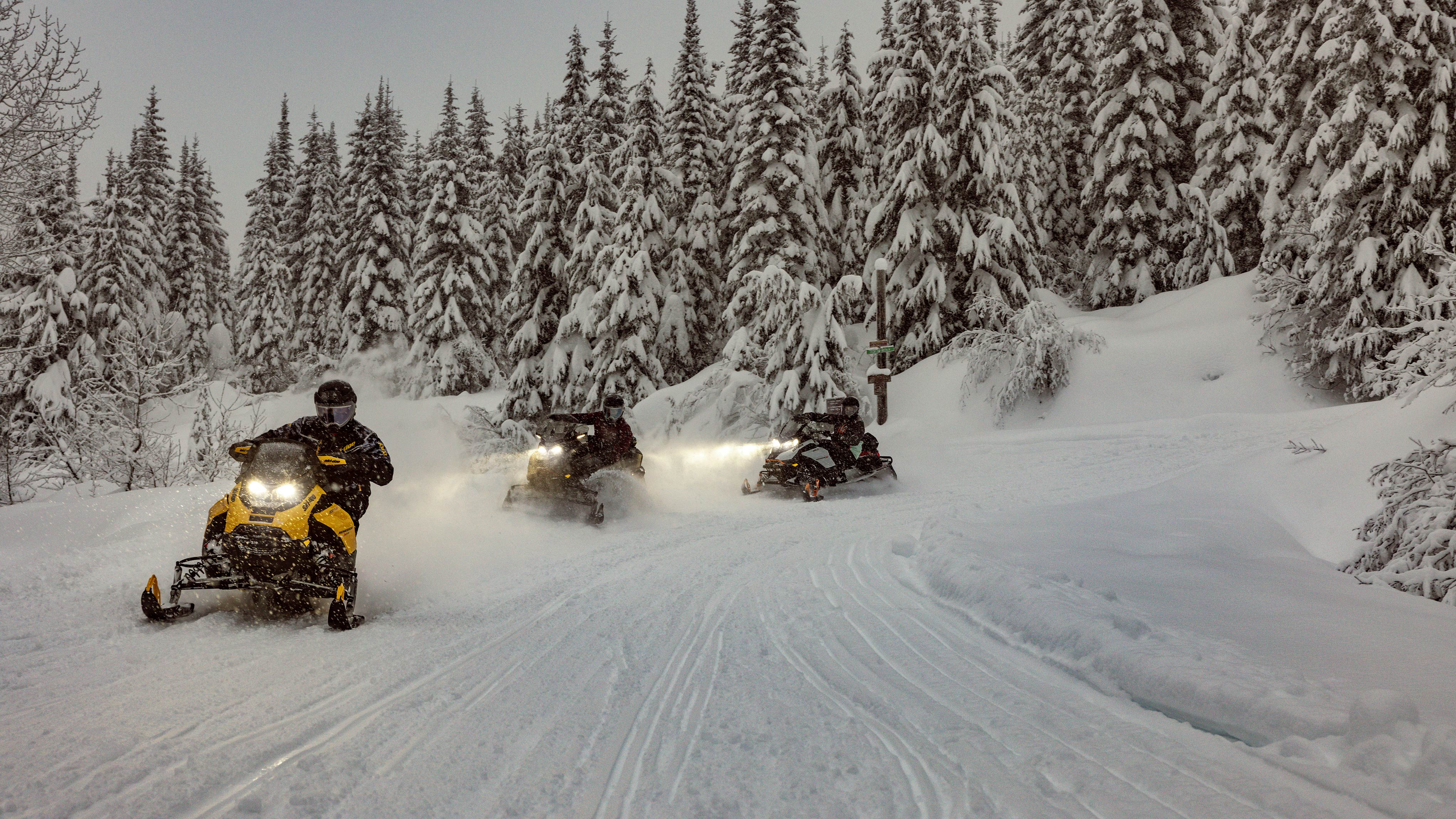 Trois motoneiges Ski-Doo de sentier dans une forêt enneigée