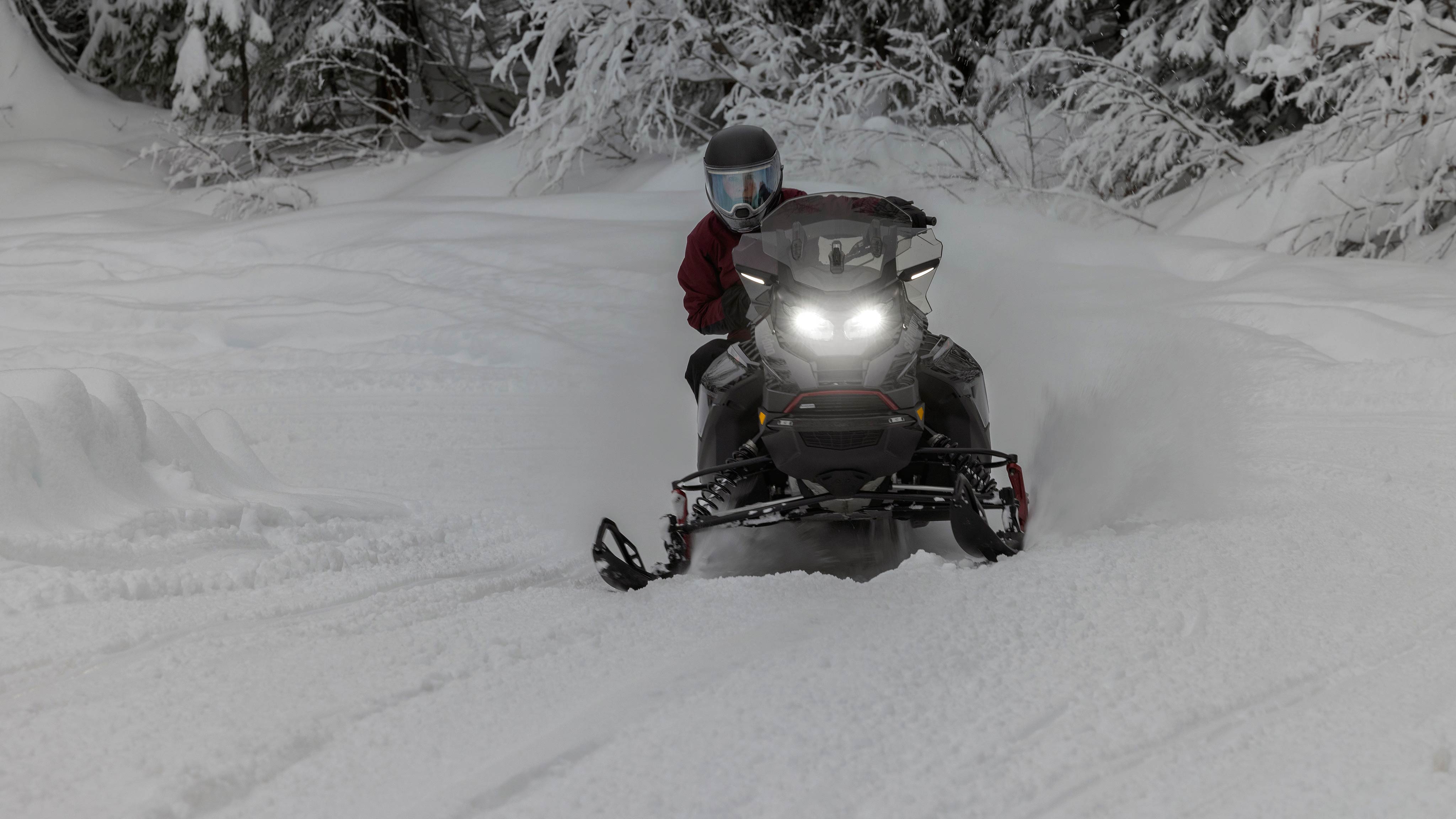 Motoneigiste naviguant les courbes d'une forêt enneigée sur un Ski-Doo Renegade 2025