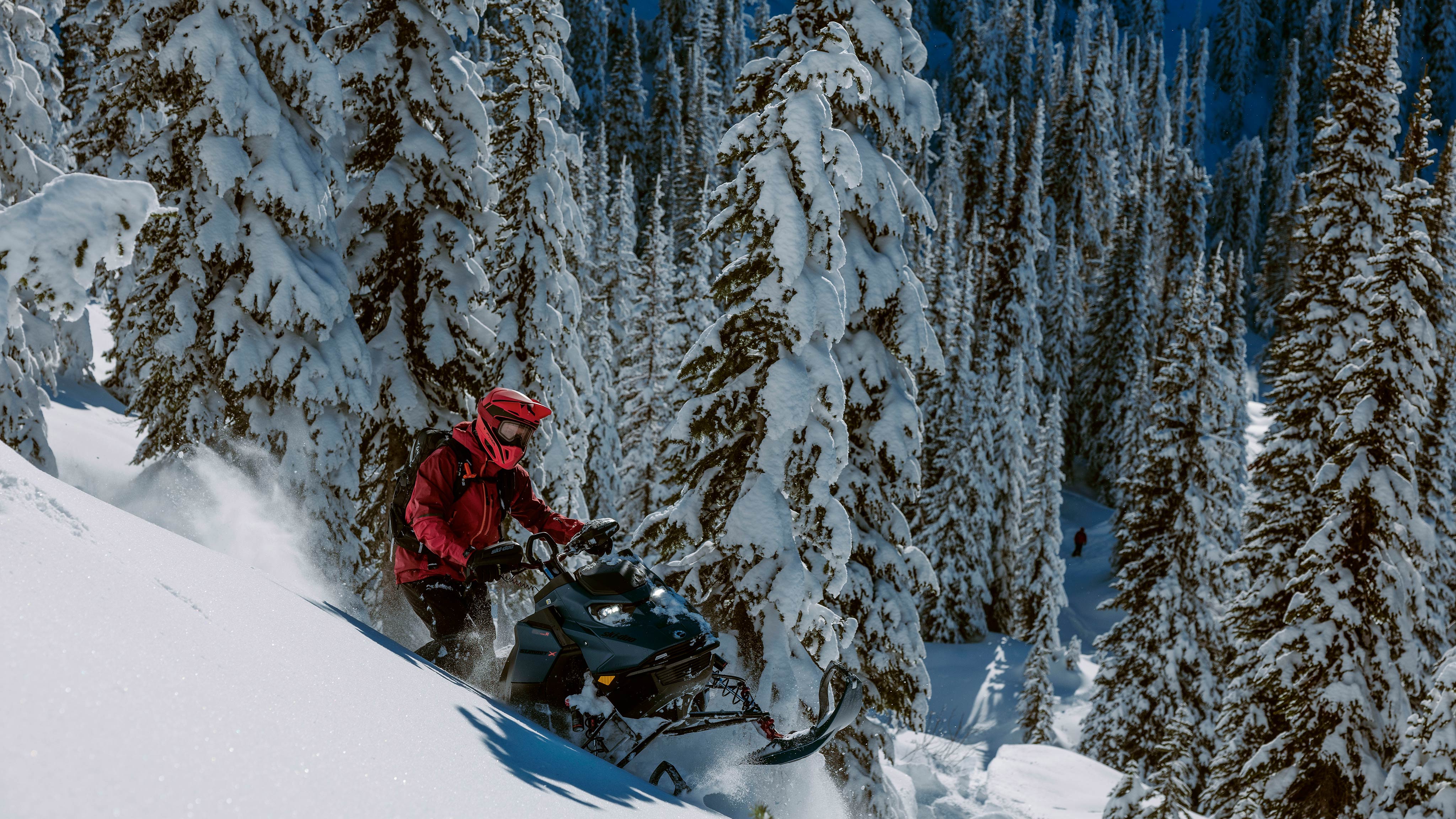 2025 Ski-Doo Summit snowmobile in a snowy forest