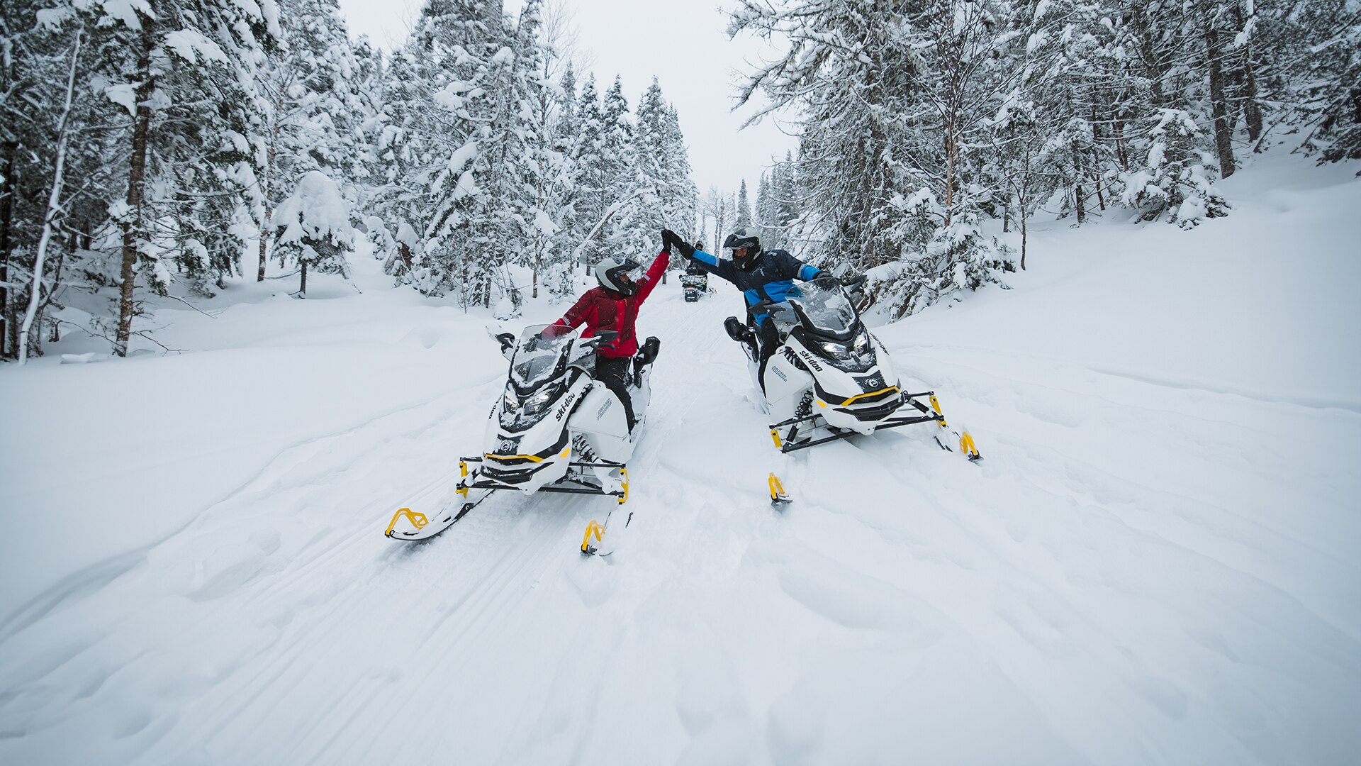 Two Ski-Doo snowmobile riders in the middle of a snowy forest