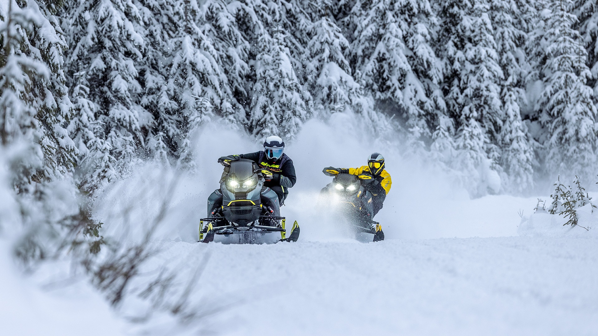 Deux motoneigistes conduisant leur motoneige de sentier Ski-Doo 2026 dans une forêt enneigée.