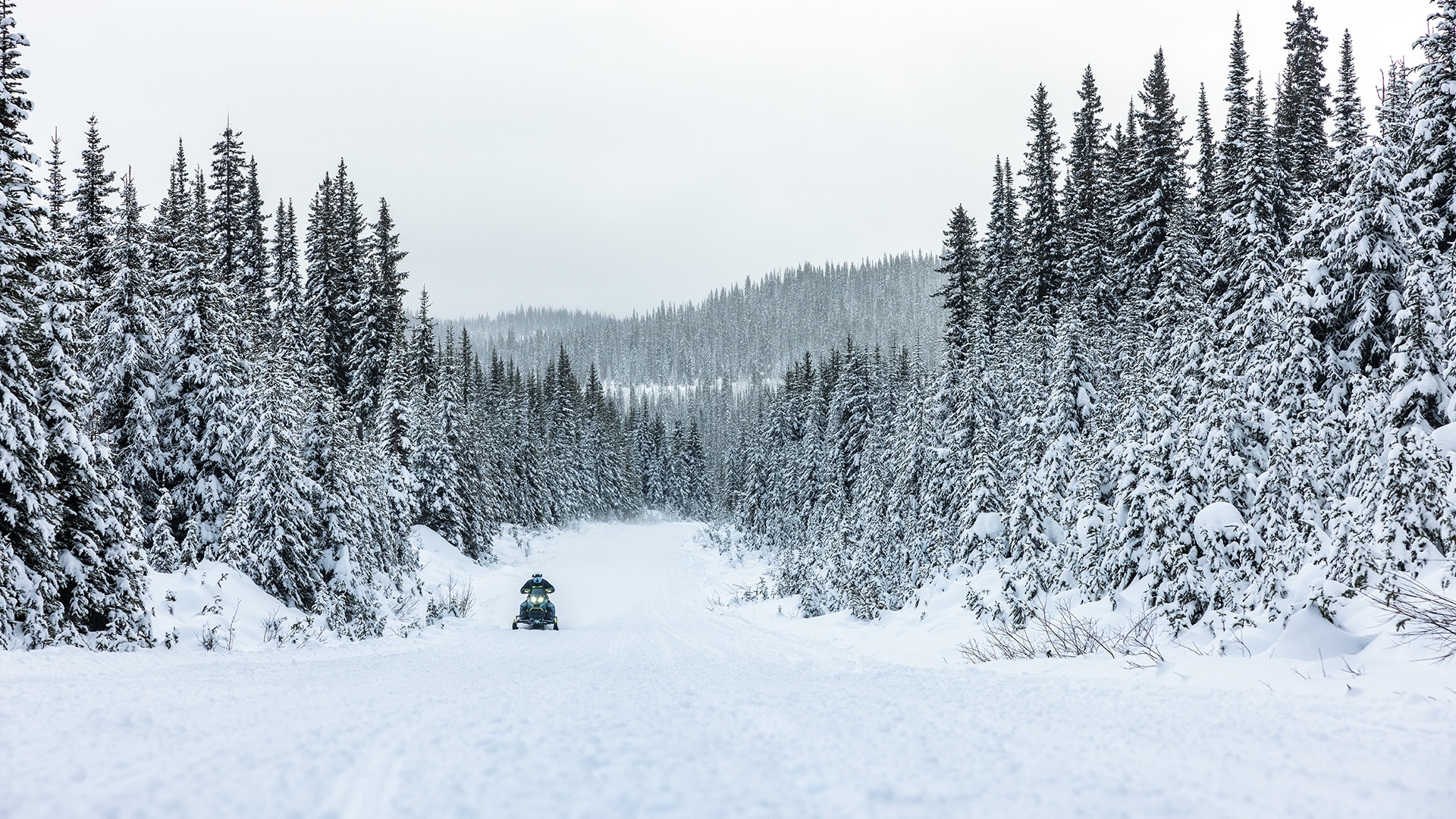 Snowmobiler riding his 2026 Ski-Doo Renegade X-RS snowmobile on a snow-covered forest trail.