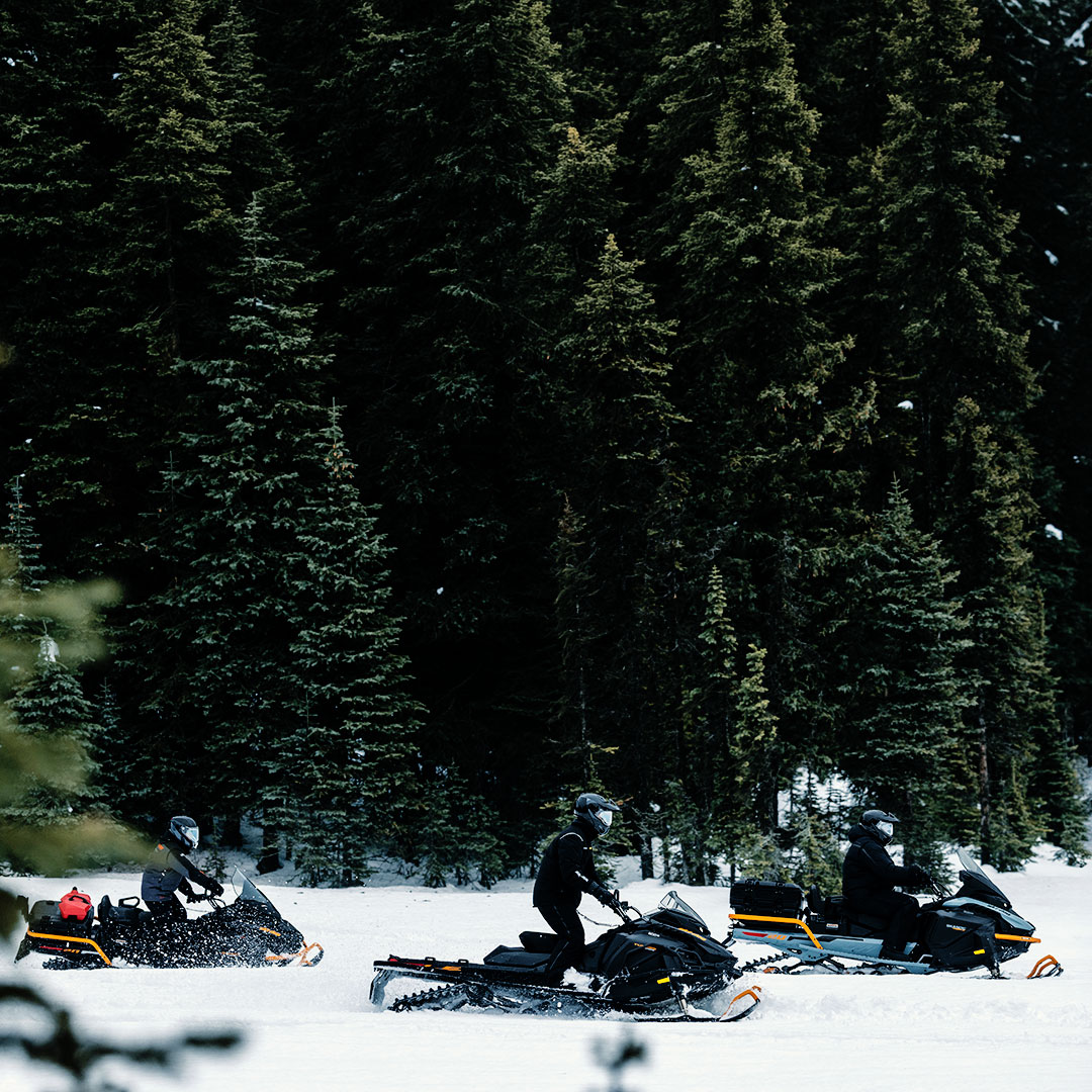 Three Ski-Doo snowmobiles riding on a groomed trail in the middle of a forest
