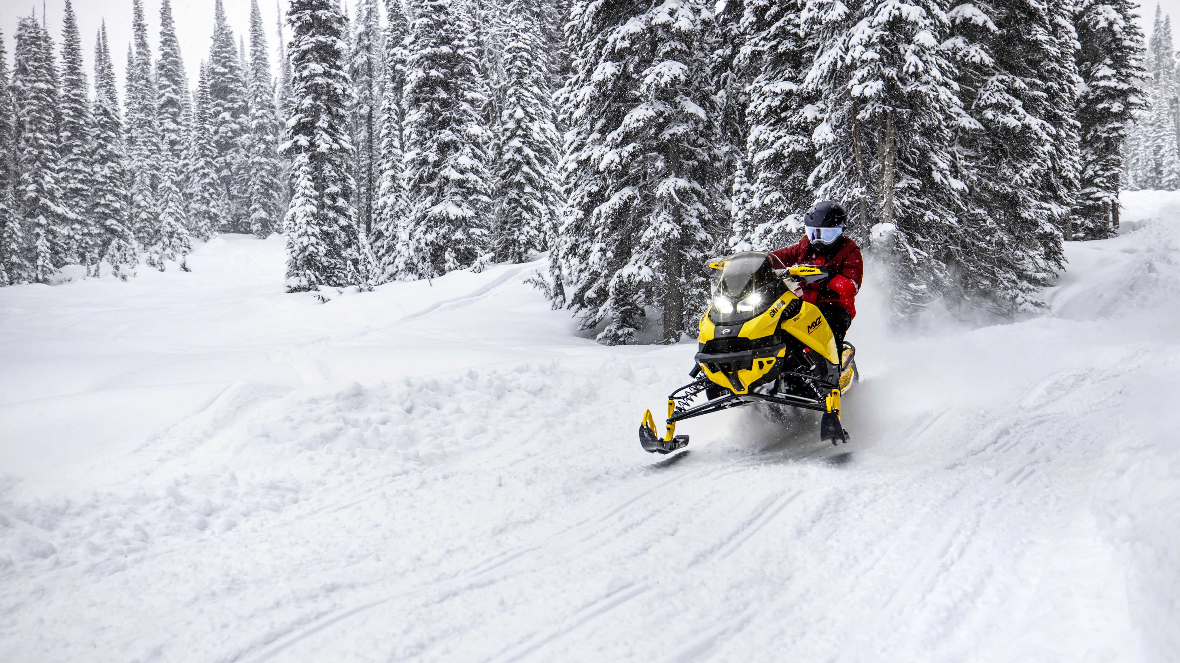 2025 Ski-Doo MXZ - Trail snowmobile