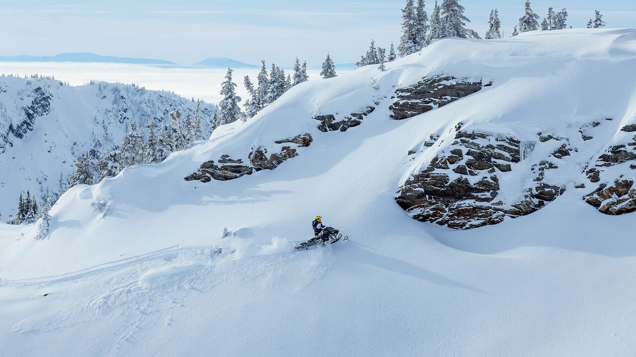 Powder hotsell summit shorty