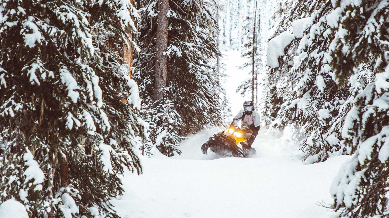 2020 Ski-Doo TNDRALT550FANREVXUCHGR1.5 - 553cc Prices and